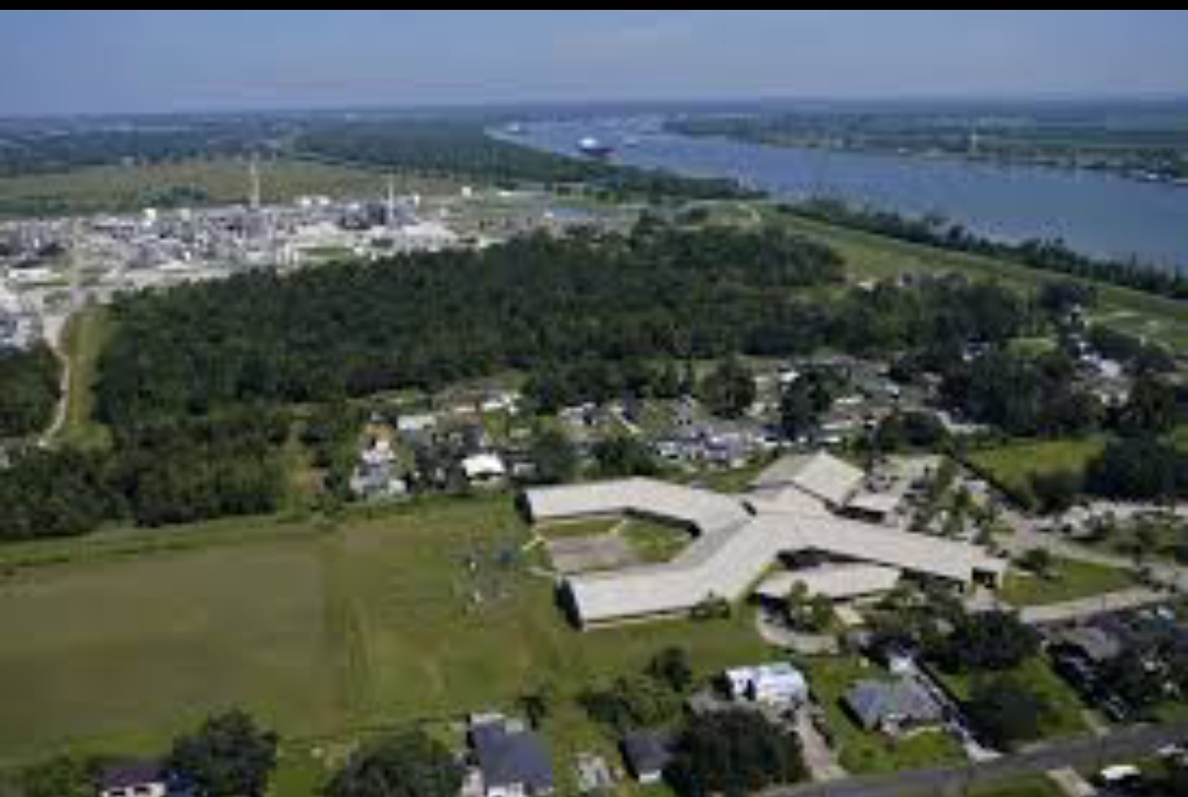 Screenshot_2025-05-20-15-53-48-460-edit_com.openai.chatgpt