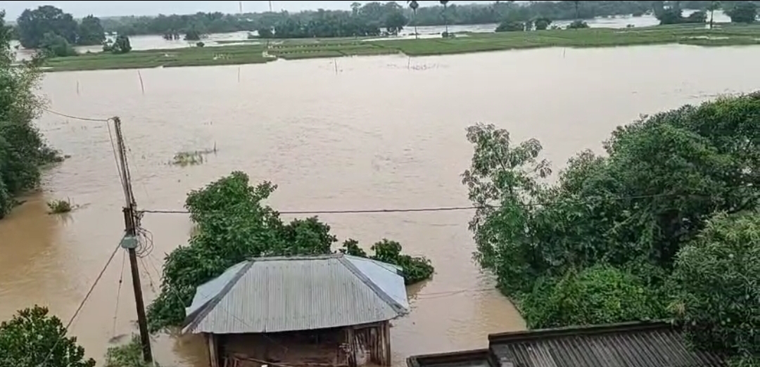 Screenshot_2025-06-19-14-07-48-846-edit_com.whatsapp