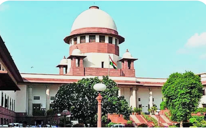 Screenshot_2025-07-22-08-04-37-052-edit_com.openai.chatgpt