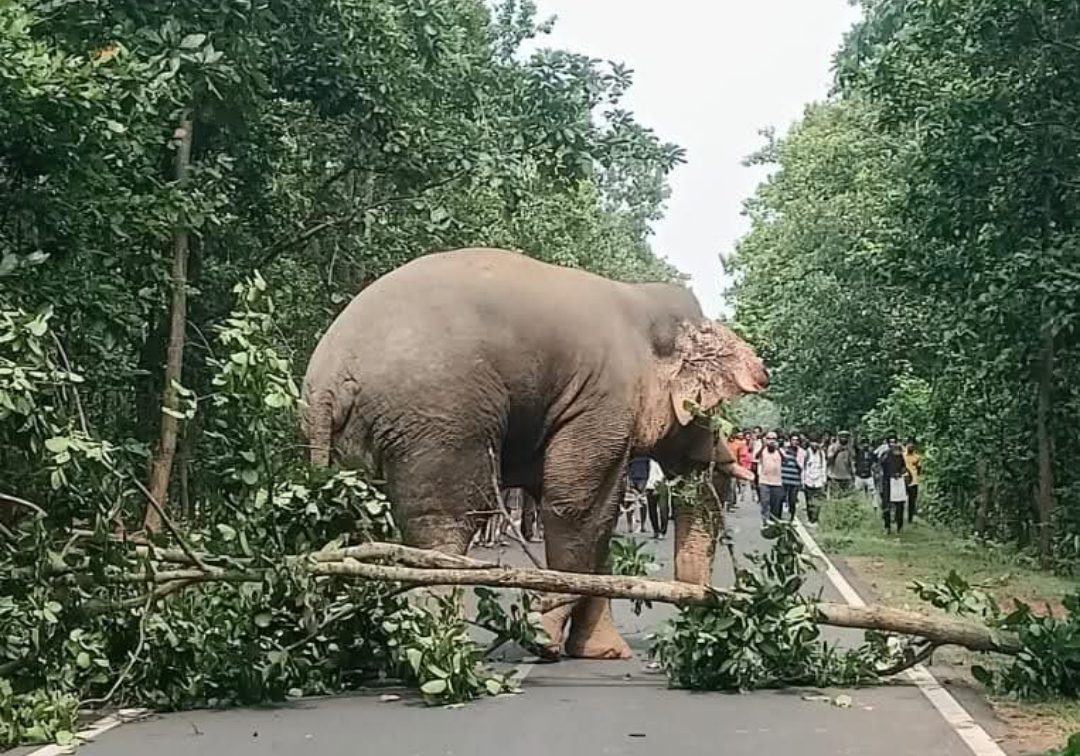 Screenshot_2025-10-08-23-22-58-995-edit_com.miui.gallery